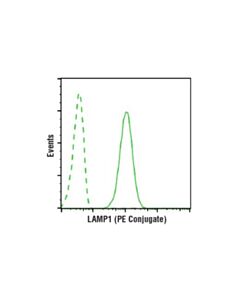 Cell Signaling Lamp1 (D2d11) Xp Rabbit mAb (PE Conjugate)
