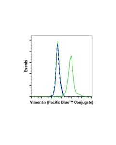Cell Signaling Vimentin (D21h3) Rabbit mAb (Pacific Blue™ Conjugate)