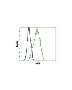 Cell Signaling Batf (D7c5) Rabbit mAb