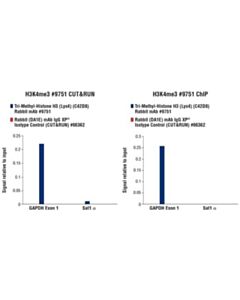Cell Signaling Cut&Run Assay Kit