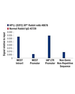Cell Signaling Hp1beta (D2f2) Xp Rabbit mAb
