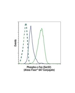 Cell Signaling Phospho-C-Fos (Ser32) (D82c12) Xp Rabbit mAb (Alexa Fluor 647 Conjugate)