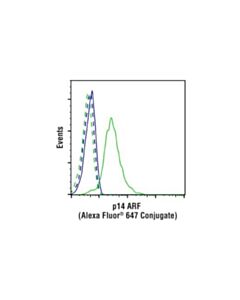 Cell Signaling P14 Arf (E3x6d) Rabbit mAb (Alexa Fluor 647 Conjugate)