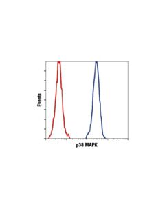 Cell Signaling P38 Mapk (D13e1) Xp Rabbit mAb