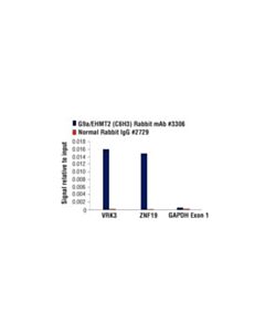 Cell Signaling Lysine Methyltransferase Antibody Sampler Kit
