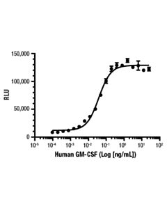 Cell Signaling Human Gm-Csf Recombinant Protein