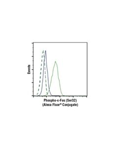 Cell Signaling Phospho-C-Fos (Ser32) (D82c12) Xp Rabbit mAb (Alexa Fluor 488 Conjugate)