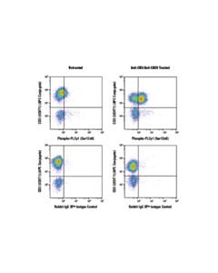 Cell Signaling Phospho-Plcgamma1 (Ser1248) (D25a9) Rabbit mAb
