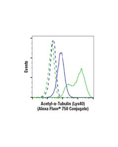 Cell Signaling Acetyl-Alpha-Tubulin (Lys40) (D20g3) Xp Rabbit mAb (Alexa Fluor 750 Conjugate)