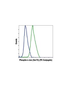 Cell Signaling Phospho-C-Jun (Ser73) (D47g9) Xp Rabbit mAb (PE Conjugate)