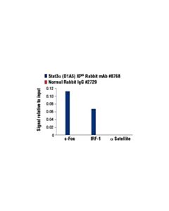 Cell Signaling Stat3alpha (D1a5) Xp Rabbit mAb