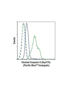 Cell Signaling Cleaved Caspase-3 (Asp175) (D3e9) Rabbit mAb (Pacific Blue Conjugate)