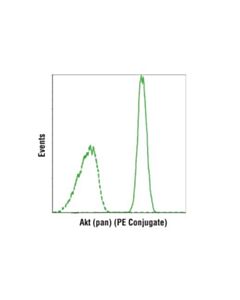 Cell Signaling Akt (Pan) (C67e7) Rabbit mAb (PE Conjugate)