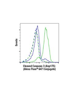 Cell Signaling Cleaved Caspase-3 (Asp175) (5a1e) Rabbit mAb (Alexa Fluor ® 647 Conjugate)