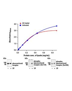 Cell Signaling Fastscan Total Glucocorticoid Receptor Elisa Kit