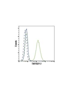 Cell Signaling Tnfrsf17/Bcma (E6d7b) Rabbit mAb