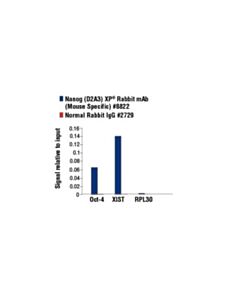 Cell Signaling Nanog (D2a3) Xp Rabbit mAb (Mouse Specific)