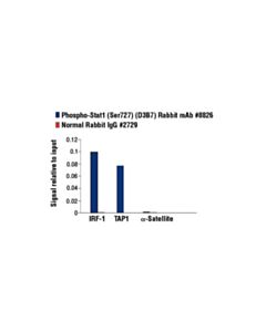 Cell Signaling Phospho-Stat1 (Ser727) (D3b7) Rabbit mAb