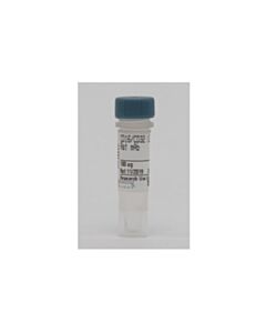 Cell Signaling Cd16/Cd32 (2.4g2) Rat mAb