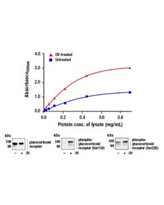 Cell Signaling Fastscan Phospho-Glucocorticoid Receptor (Ser226) Elisa Kit
