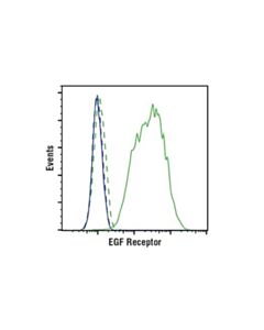 Cell Signaling Egf Receptor (D38b1) Xp Rabbit mAb (PE Conjugate)