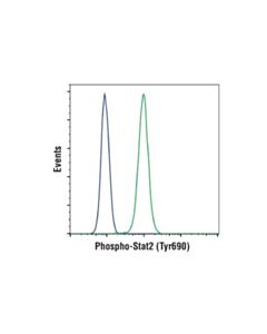 Cell Signaling Phospho-Stat2 (Tyr690) (D3p2p) Rabbit mAb