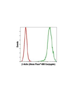 Cell Signaling Beta-Actin (13e5) Rabbit mAb (Alexa Fluor<Lt/>Sup&Gt;® <Lt/>/Sup&Gt;488 Conjugate)