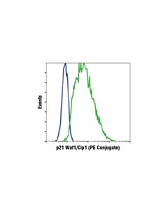 Cell Signaling P21 Waf1/Cip1 (12d1) Rabbit mAb (Pe Conjugate)