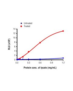 Cell Signaling Pathscan Phospho-Rip (Ser166) Chemiluminescent Sandwich ELISA Kit