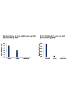 Cell Signaling Simplechip Universal Qpcr Master Mix