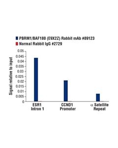 Cell Signaling Pbrm1/Baf180 (E9x2z) Rabbit mAb