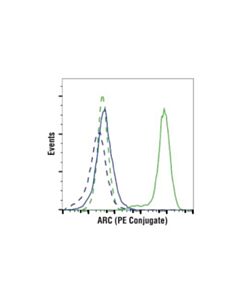 Cell Signaling Arc (D7q3g) Rabbit mAb (PE Conjugate)