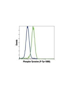 Cell Signaling Phospho-Tyrosine (P-Tyr-1000) Multimab Rabbit mAb Mix