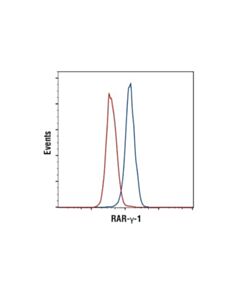Cell Signaling Rargamma1 (D3a4) Xp Rabbit mAb