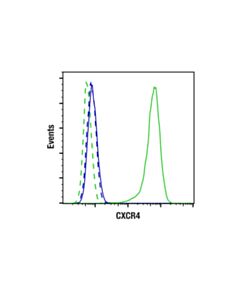 Cell Signaling Cxcr4 (E9g2e) Rabbit mAb