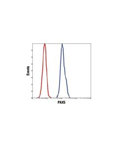 Cell Signaling Pax5 (D19f8) Xp Rabbit mAb
