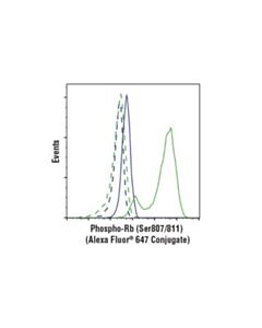 Cell Signaling Phospho-Rb (Ser807/811) (D20b12) Xp Rabbit mAb (Alexa Fluor 647 Conjugate)