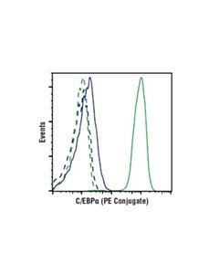 Cell Signaling C/Ebpalpha (D56f10) Xp® Rabbit mAb (PE Conjugate)