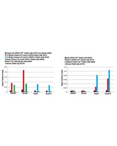 Cell Signaling Simplechip Plus Enzymatic Chromatin Ip Kit (Agarose Beads)