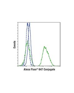Cell Signaling Insulin (C27c9) Rabbit mAb (Alexa Fluor 647 Conjugate)