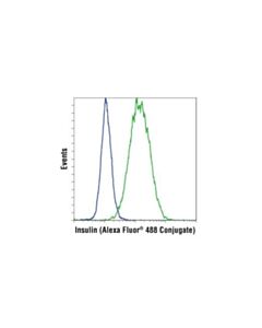 Cell Signaling Insulin (C27c9) Rabbit mAb (Alexa Fluor 488 Conjugate)