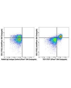 Cell Signaling TCF1/TCF7 (C63D9) Rabbit mAb (iFluor 594 Conjugate)