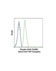 Cell Signaling Phospho-Stat2 (Tyr690) (D3p2p) Rabbit mAb (Alexa Fluor 647 Conjugate)