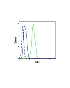 Cell Signaling Bcl-3 (E2m6n) Rabbit mAb