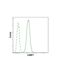 Cell Signaling Lamp1 (D2d11) Xp Rabbit mAb