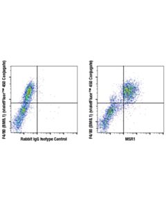 Cell Signaling MSR1 (E4H1C) Rabbit mAb 20 uL