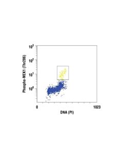 Cell Signaling Phospho-Mek1 (Thr286) Antibody