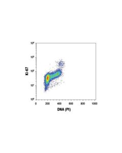 Cell Signaling Ki-67 (D3b5) Rabbit mAb