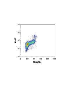 Cell Signaling Ki-67 (D3b5) Rabbit mAb