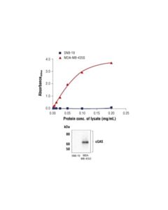 Cell Signaling Fastscan Total Cgas Elisa Kit